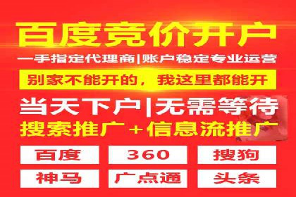 详解托管SEM竞价案例：精准定位客户群体